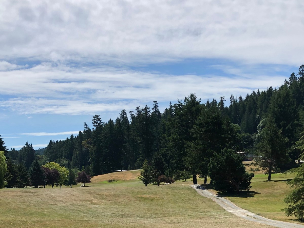 P4C and the BC Curriculum: Social&nbsp;Studies