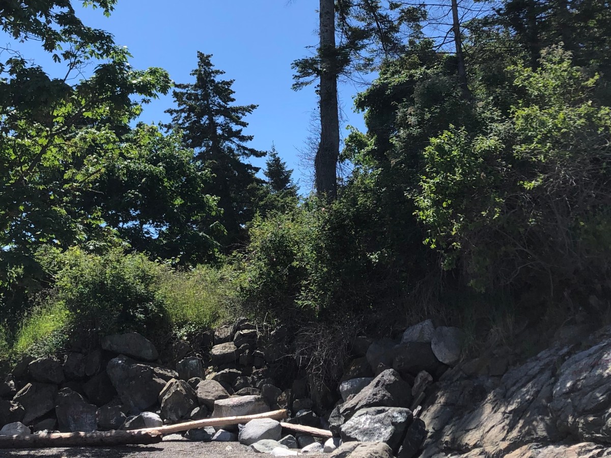 P4C and the British Columbia Curriculum’s Core Competencies: Personal &&nbsp;Social