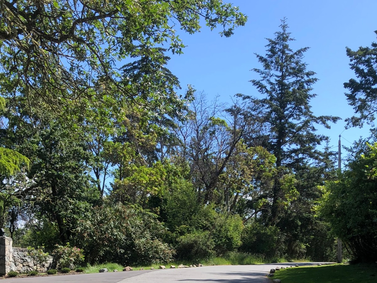 What is a philosophical discussion in the P4C&nbsp;classroom?